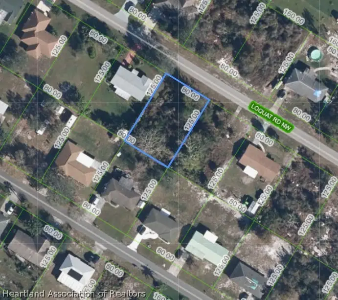 254 Loquat Road Nw, Lake Placid, FL 33852 - #3