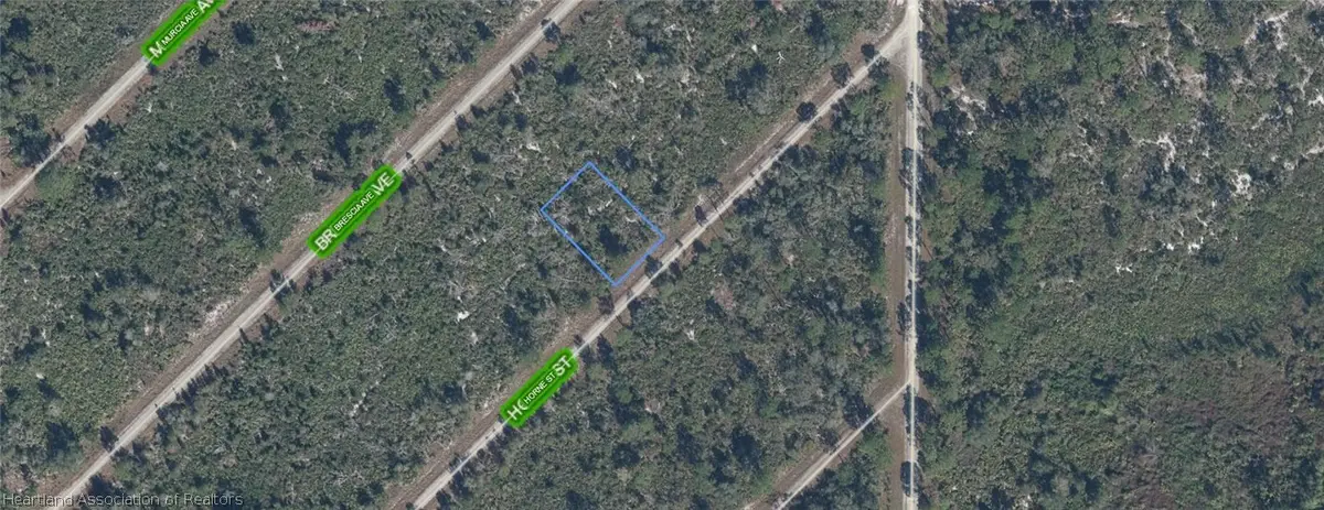 3517 Horne Street, Lake Placid, FL 33852 - #1