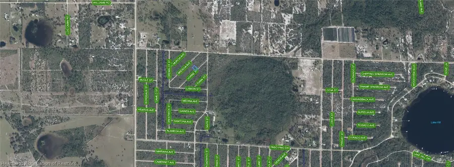3517 Horne Street, Lake Placid, FL 33852 - #3