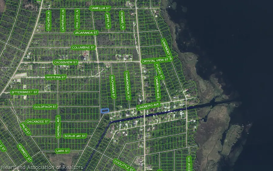 601 Waterson Street, Lake Placid, FL 33852 - #2