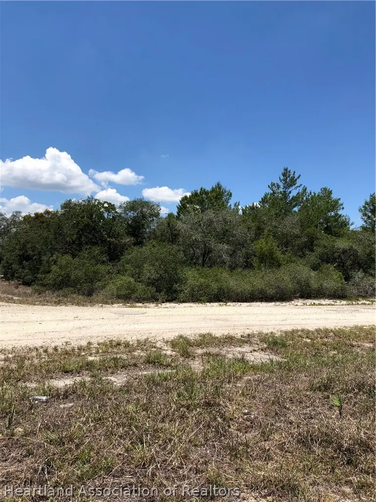 458 Aloha Avenue, Lake Placid, FL 33852 - #1
