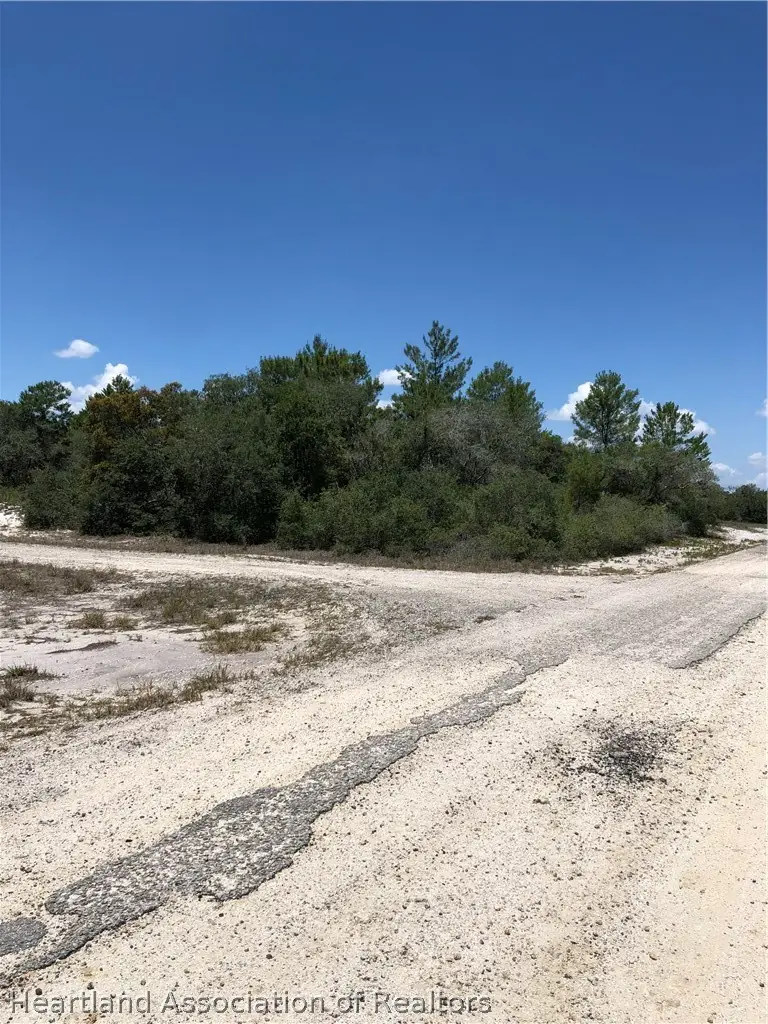 458 Aloha Avenue, Lake Placid, FL 33852 - #2