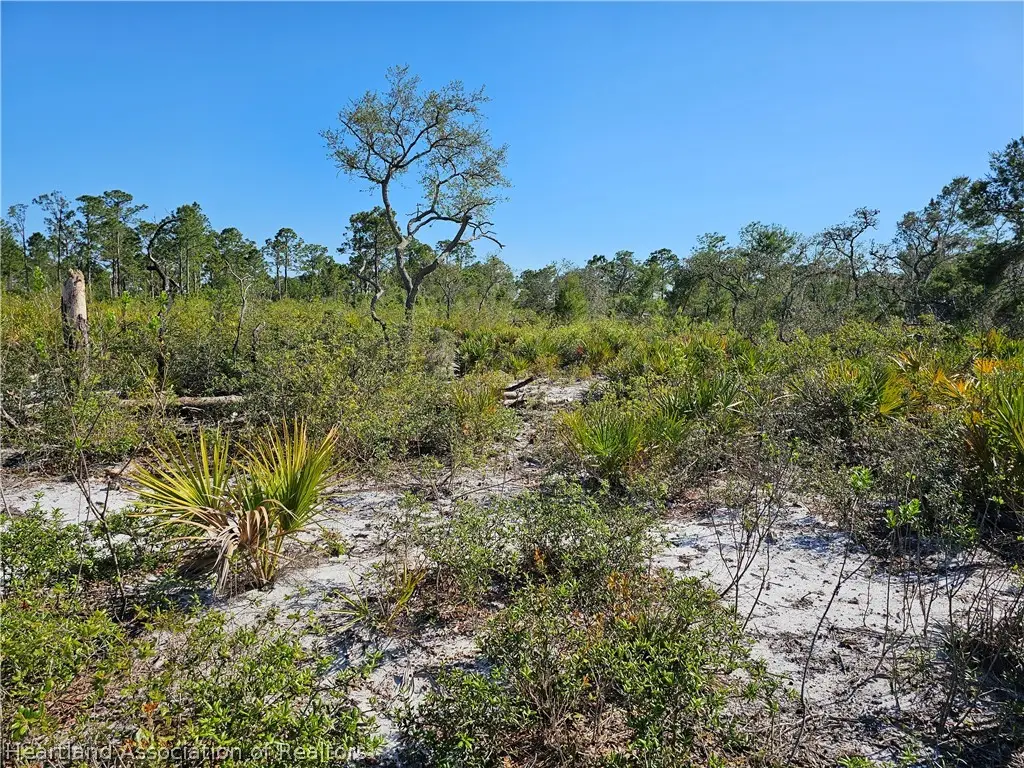 3385 Drake Avenue, Sebring, FL 33875 - #1