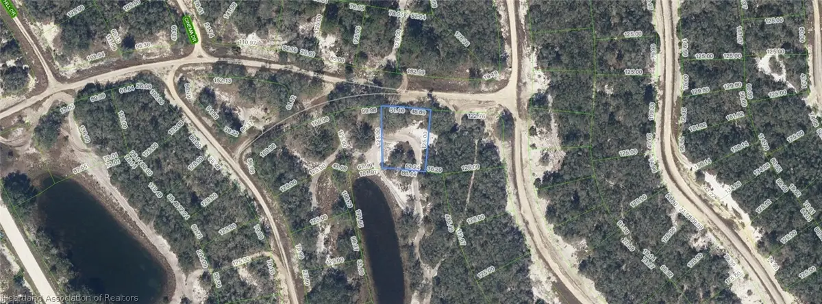 305 Blue Heaven Drive, Lake Placid, FL 33852 - #1
