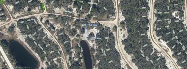 305 Blue Heaven Drive, Lake Placid, FL 33852