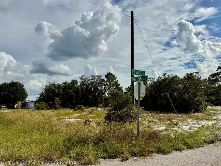 929 Aster Street, Lake Placid, FL 33852 - #2