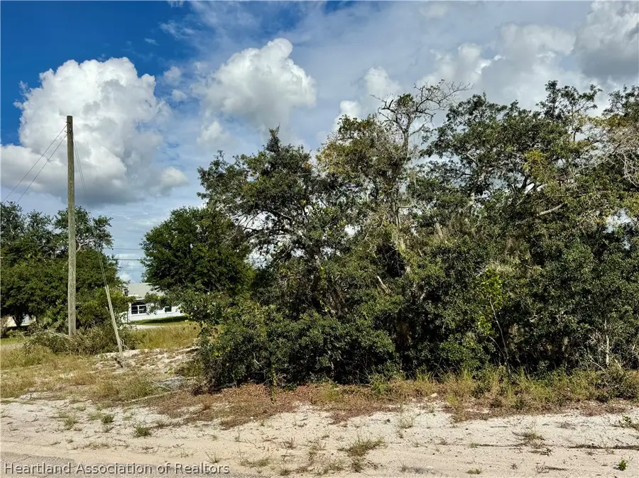 929 Aster Street, Lake Placid, FL 33852 - #3