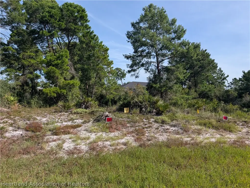 4700 Shamrock Street, Sebring, FL 33872 - #1