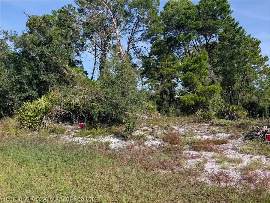 4700 Shamrock Street, Sebring, FL 33872 - #3