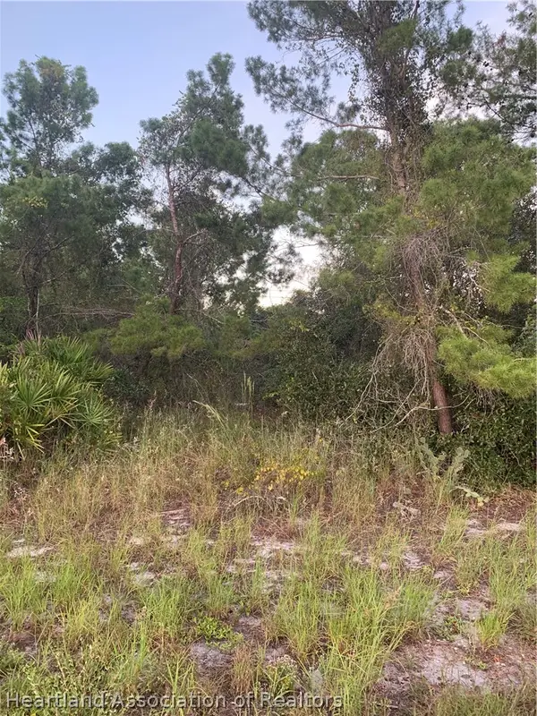 245 Loquat Road Nw, Lake Placid, FL 33852