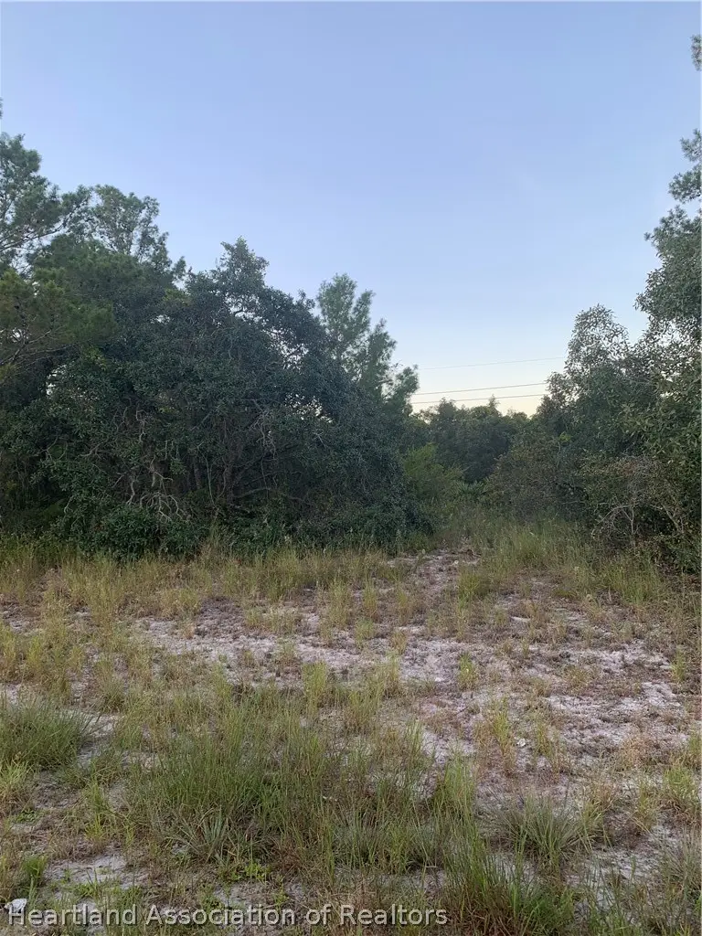 245 Loquat Road Nw, Lake Placid, FL 33852 - #3