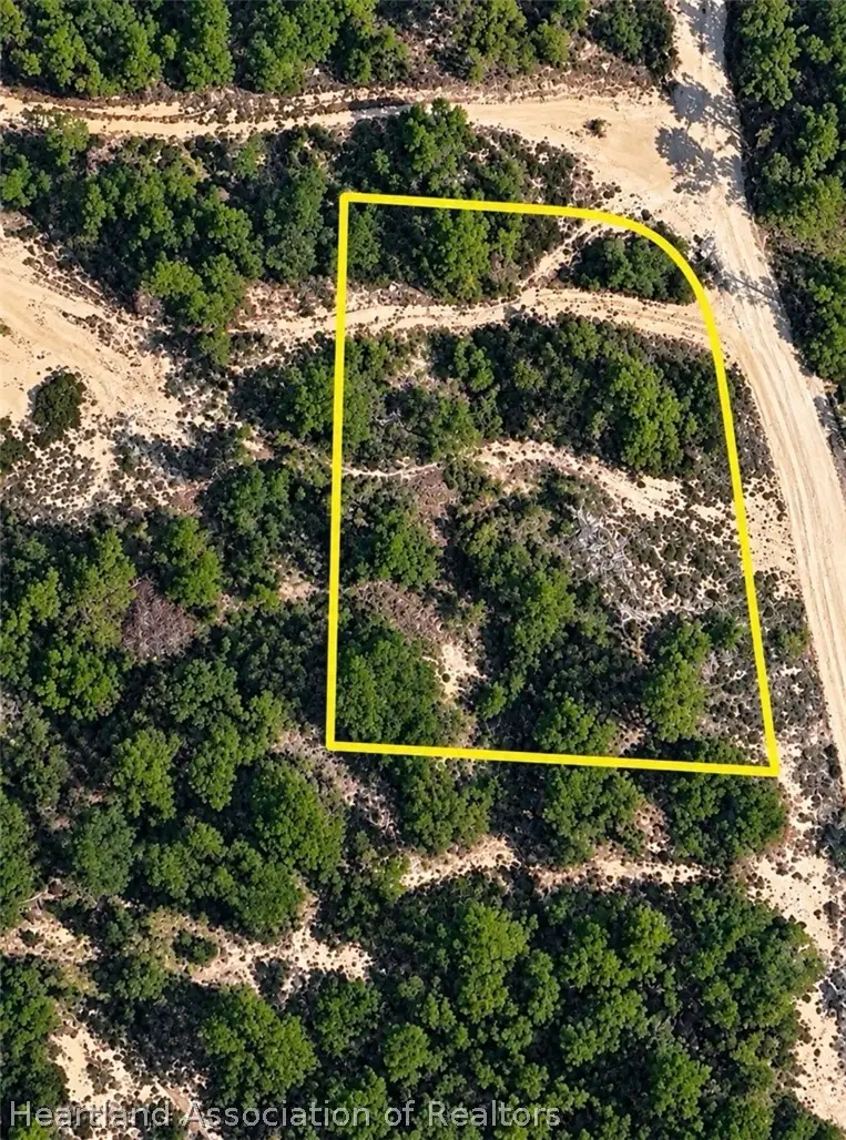 386 Imagination Drive, Lake Placid, FL 33852 - #1