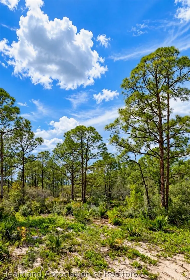 386 Imagination Drive, Lake Placid, FL 33852 - #3
