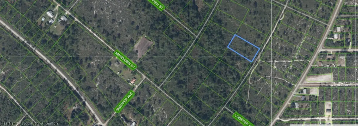 718 Dolphin Avenue, Lake Placid, FL 33852 - #1