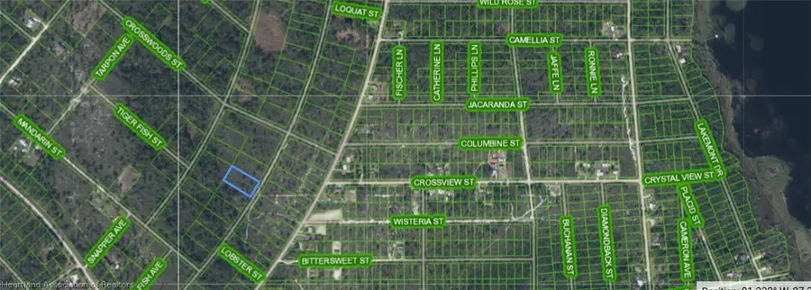 718 Dolphin Avenue, Lake Placid, FL 33852 - #2