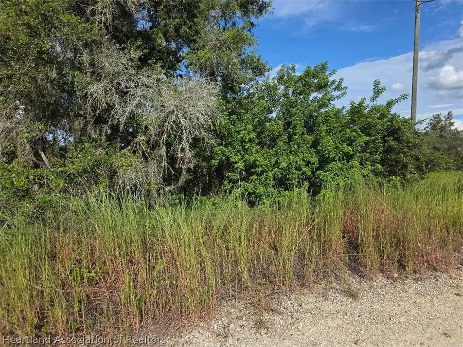 285 Dargen Drive, Lake Placid, FL 33852 - #2