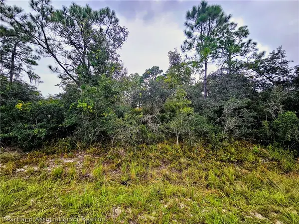 105 Bronson Street Nw, Lake Placid, FL 33852