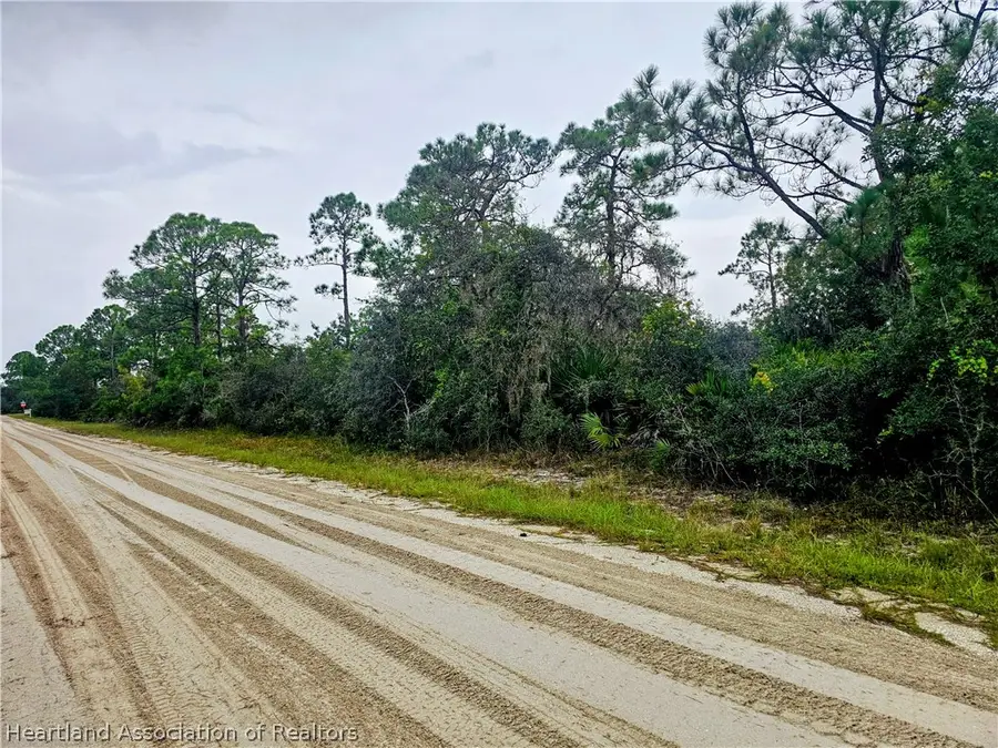 105 Bronson Street Nw, Lake Placid, FL 33852 - #3