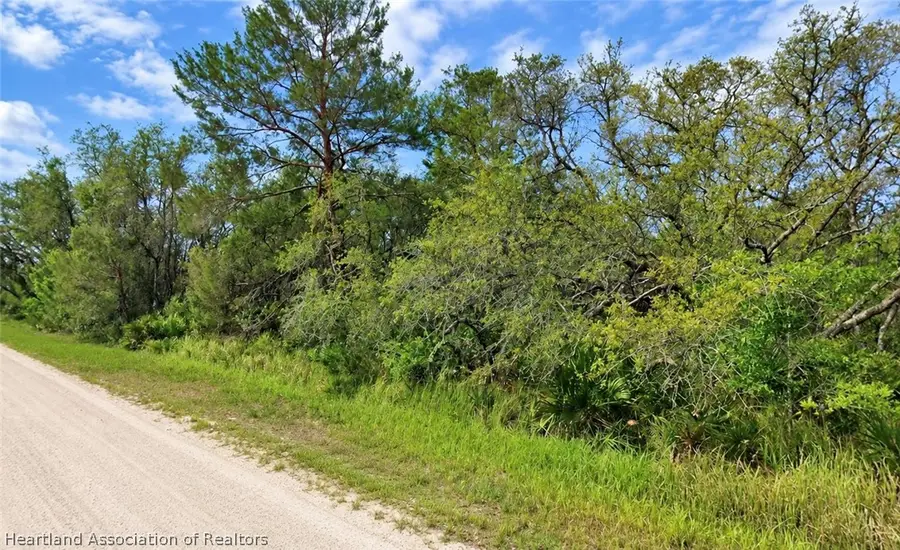 3235 W Oneida Road, Avon Park, FL 33825 - #2