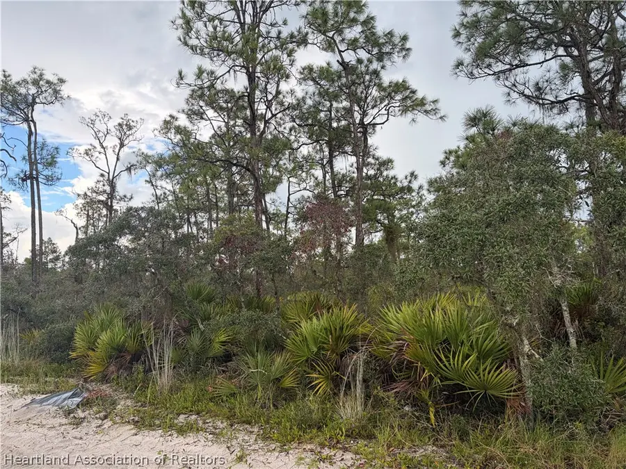2008 Macintosh Avenue, Sebring, FL 33875 - #2