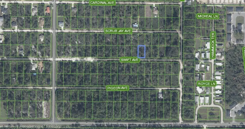 221 Swift Avenue, Sebring, FL 33870 - #1