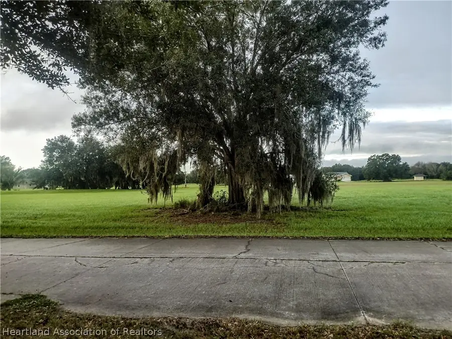 1441 Blue Heron Drive, Sebring, FL 33876 - #3