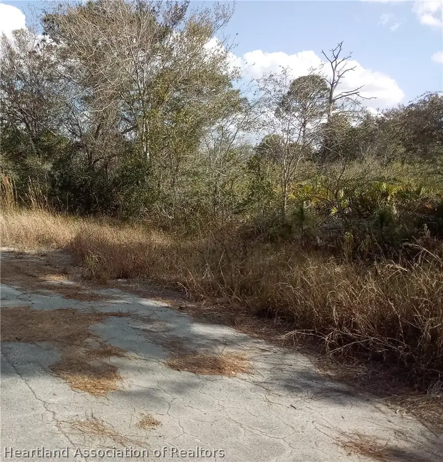 756 American Street Nw, Lake Placid, FL 33852 - #2