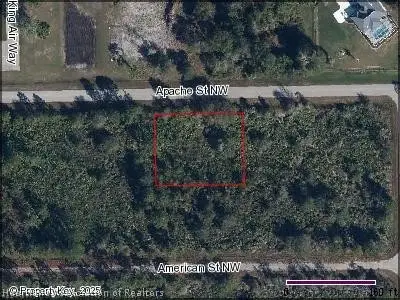 1170 Apache Street Nw, Lake Placid, FL 33852