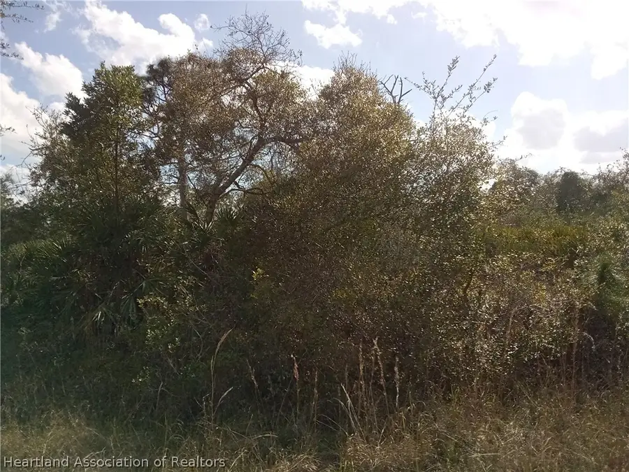1170 Apache Street Nw, Lake Placid, FL 33852 - #3
