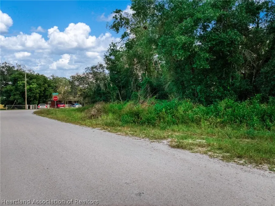 2001 N Zephyr Road, Avon Park, FL 33825 - #3