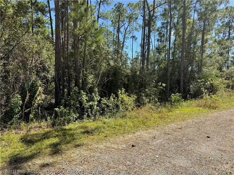 644 Cooper Street, Lake Placid, FL 33852 - #2