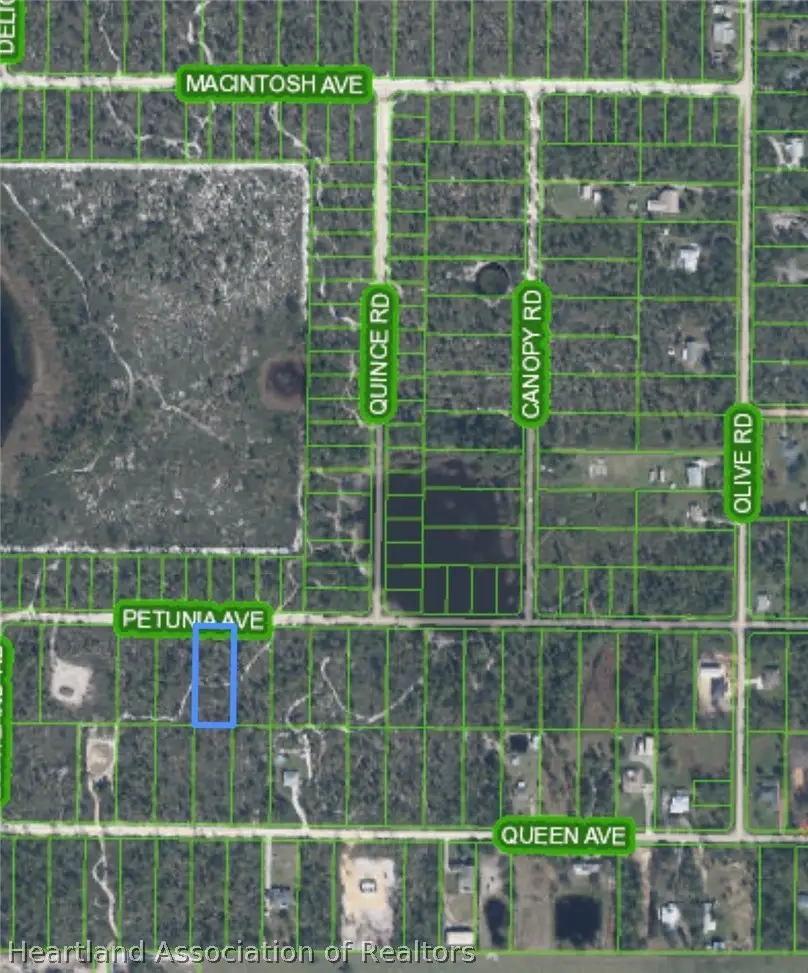 2163 Petunia Avenue, Sebring, FL 33875 - #1