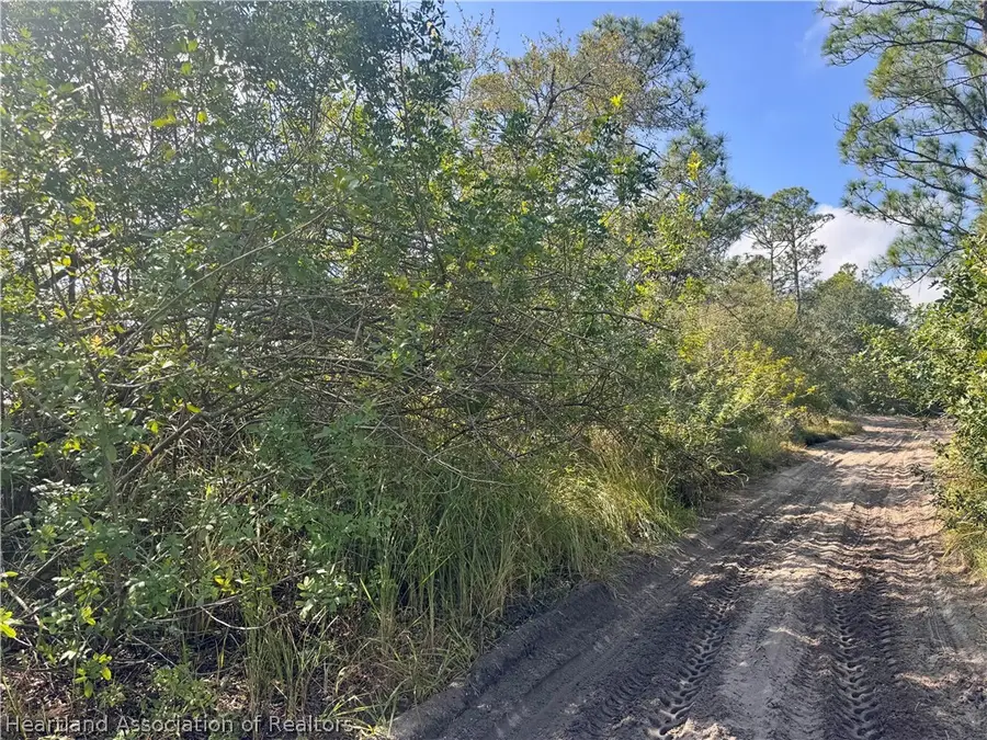 2163 Petunia Avenue, Sebring, FL 33875 - #3
