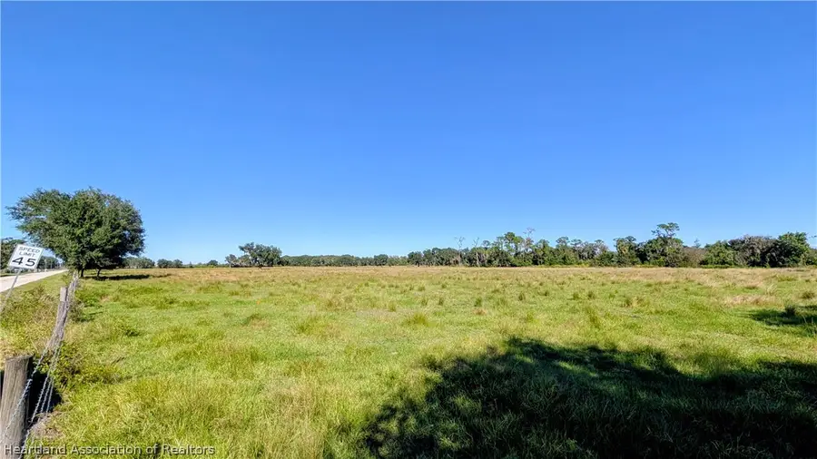 Steve Roberts Special Road, Zolfo Springs, FL 33890 - #3