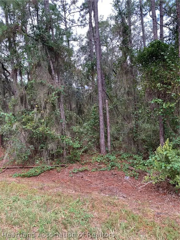 452 Highlands Lake Drive, Lake Placid, FL 33852