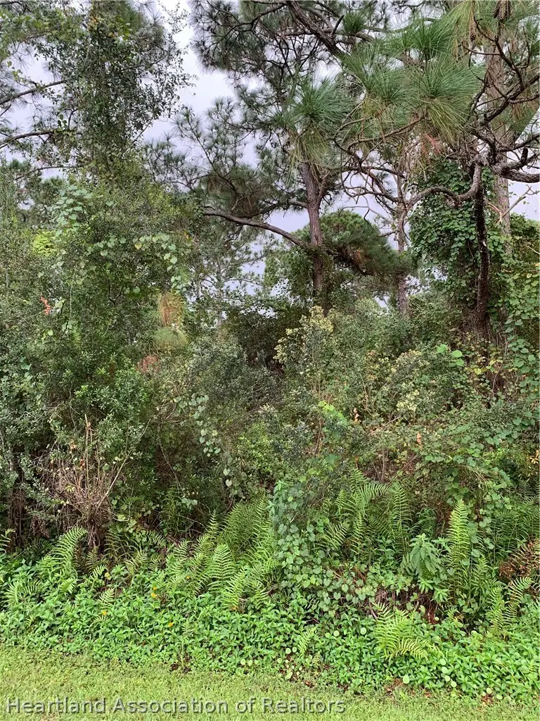 1011 Burnett Street, Lake Placid, FL 33852 - #1