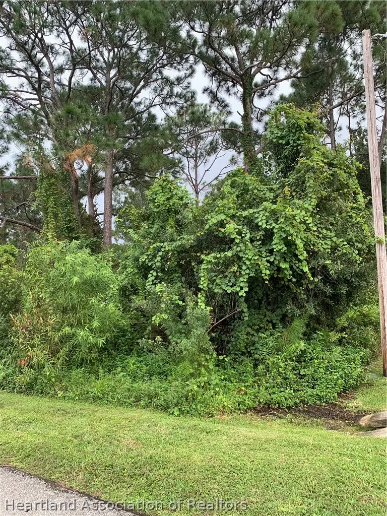 1011 Burnett Street, Lake Placid, FL 33852 - #3