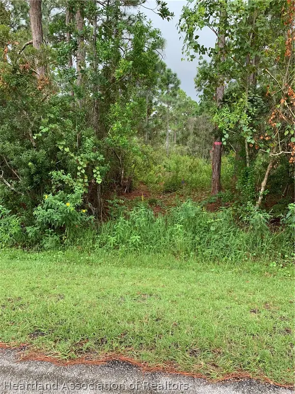 1021 Burnett Street, Lake Placid, FL 33852