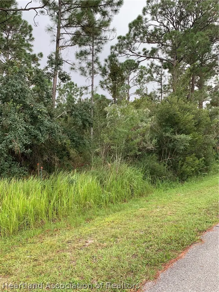 1021 Burnett Street, Lake Placid, FL 33852 - #3