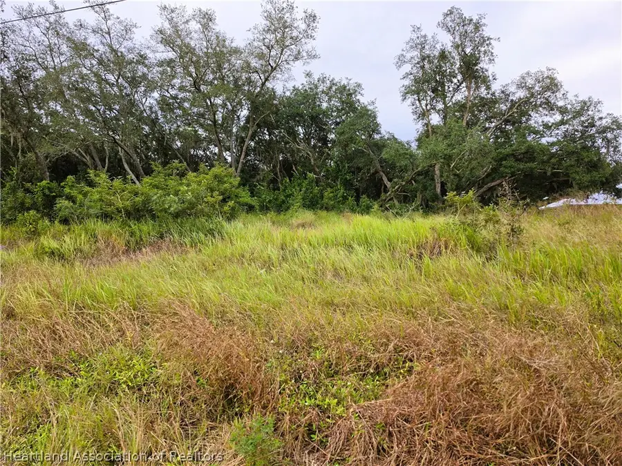 2556 N Johnson Road, Avon Park, FL 33825 - #3