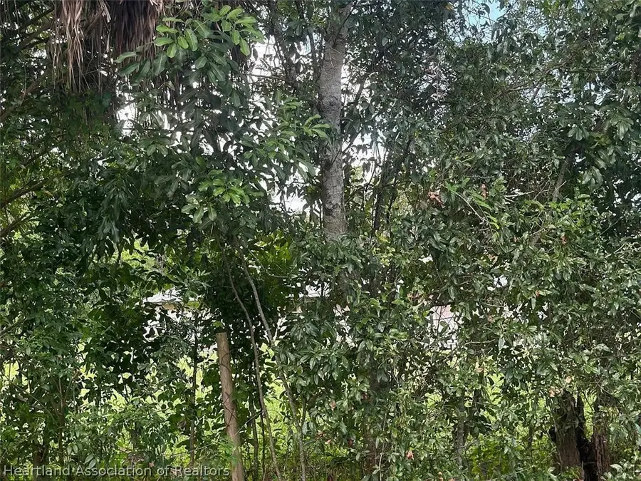 6231 Nalle Grade Road, North Fort Myers, FL 33917 - #3