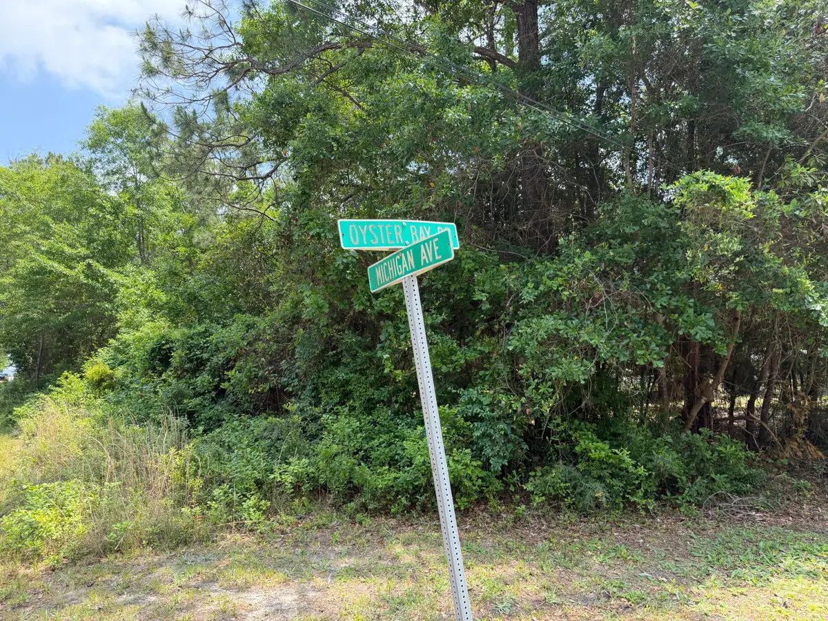 00 Michigan Avenue #25-1S-28-3160-01000-0020, Milton, FL 32583 - #1