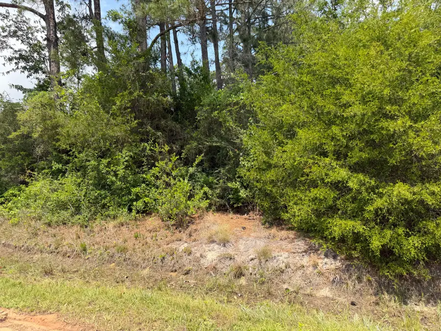 00 Michigan Avenue #25-1S-28-3160-01000-0020, Milton, FL 32583 - #3