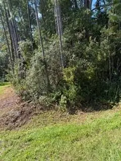 6929 Loysburg, Navarre, FL 32566