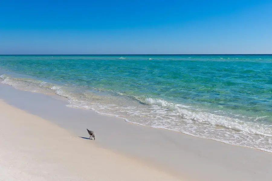 7979 Gulf, Navarre, FL 32566 - #2