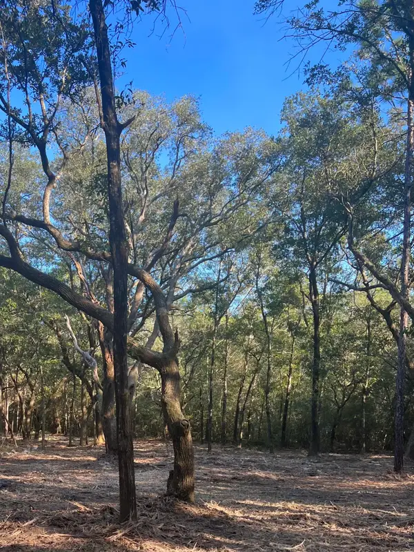 9499 Cornfield Way, Milton, FL 32583