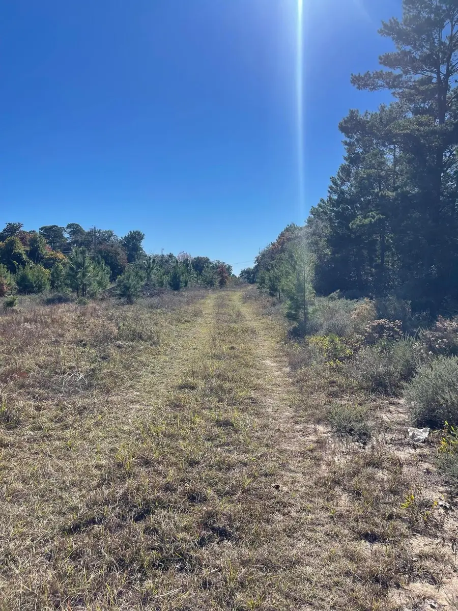 2011 Blankenship Road, Navarre, FL 32566 - #3