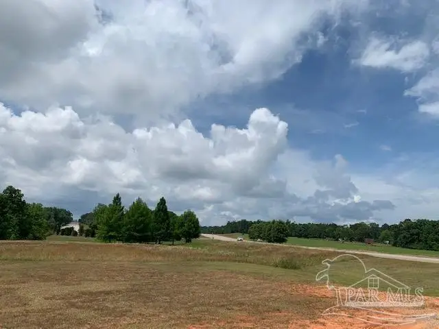 19600 Block Hwy 43, Grove Hill, AL 36451 - Image #2