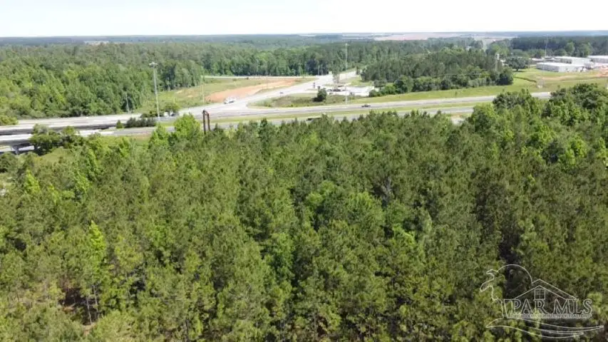 6000 Block Hwy 21, Atmore, AL 36502 - Image #3