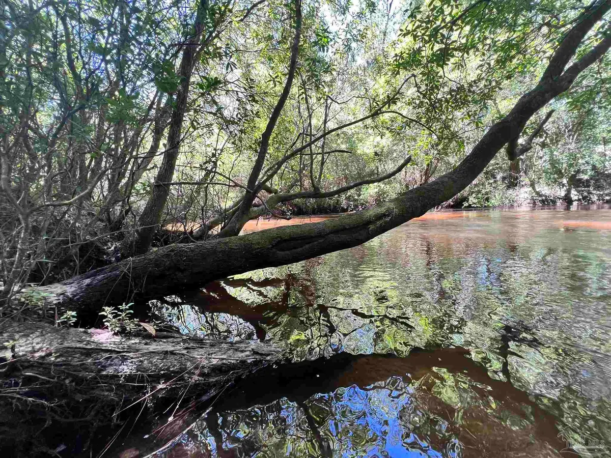 Hamilton Bridge Rd, Milton, FL 32570 - Image #1